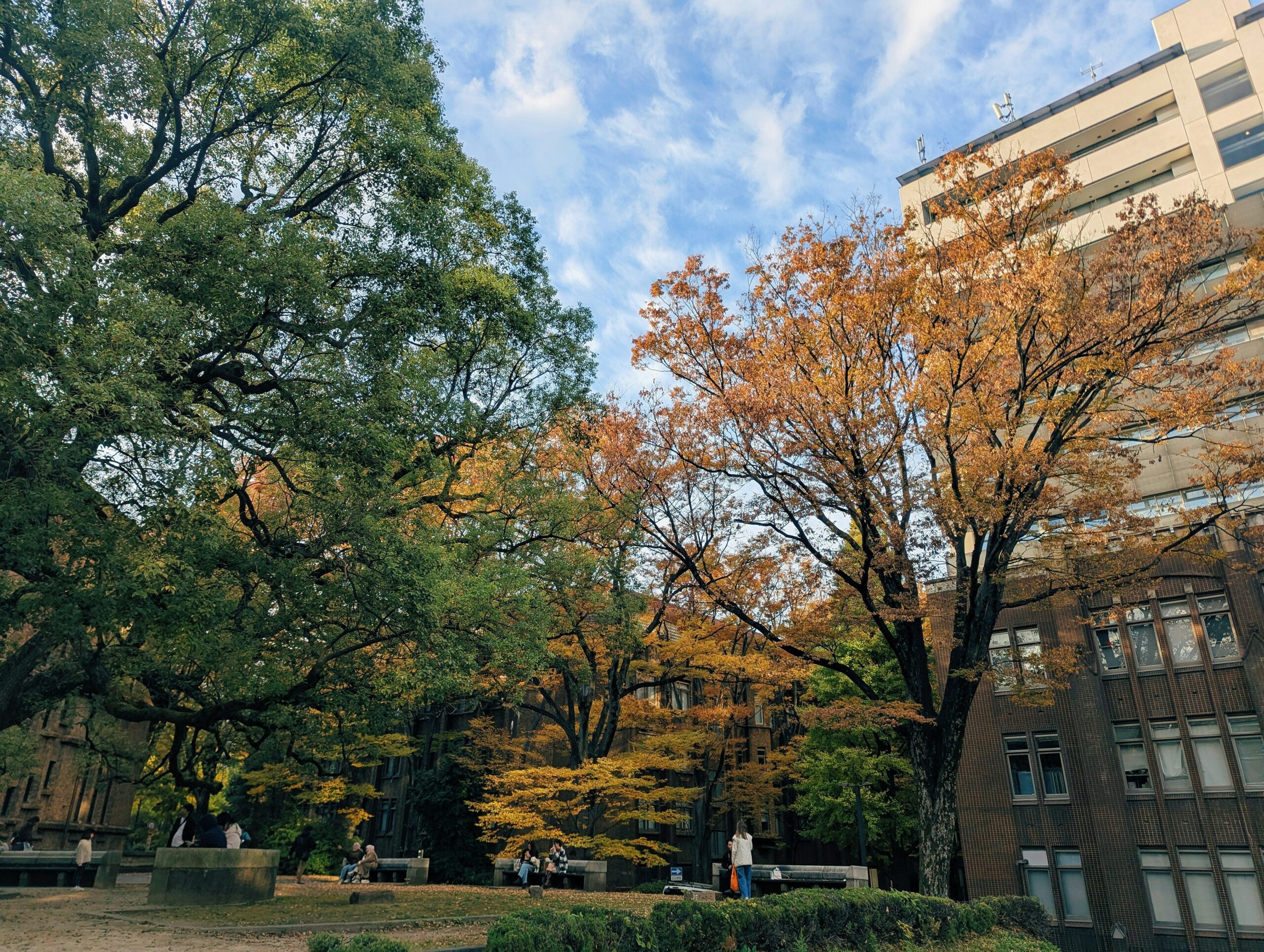 Noticias y Actualidad