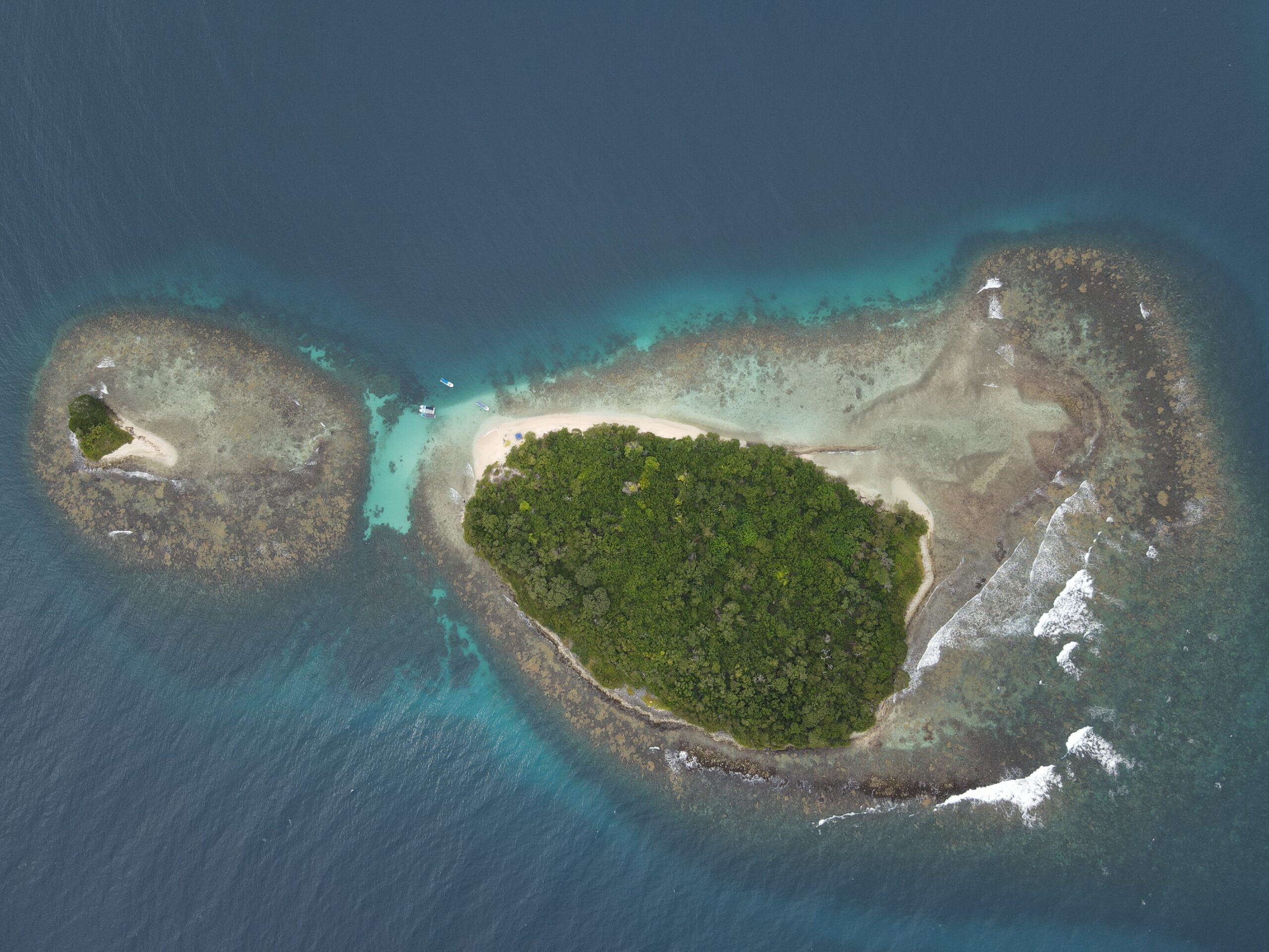 Un océano saludable y un planeta próspero para todos